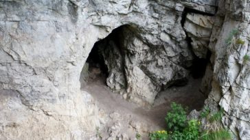 Artificial Intelligence Has Found an Unknown 'Ghost' Ancestor in The Human Genome