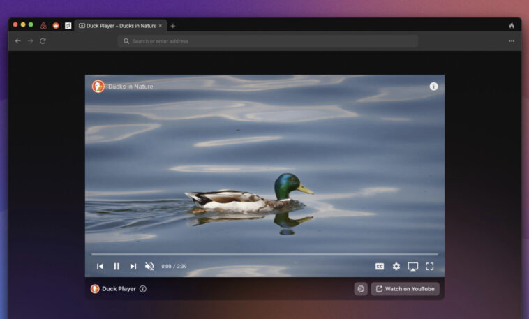 DuckDuckGo makes its Mac browser beta open to all DuckDuckGo makes its Mac browser beta open to all