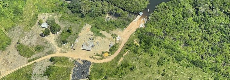 Satellite images show an illegal road threatens the Amazon