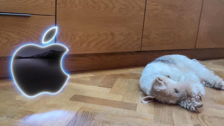 Is Apple About To Debut Its AR Headset? Everything We Know So Far