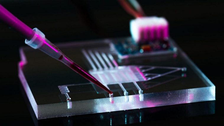 How Nematodes And AI Are Transforming R&D