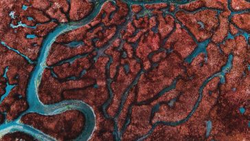 The Transformative Power Of Process Mining On EX