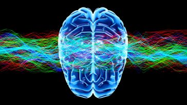 Renaissance In Precision Neuroscience Expected
