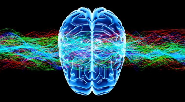 Renaissance In Precision Neuroscience Expected