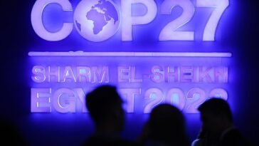 How To Reboot Climate Policy After COP27: Five Models Of Policy Making