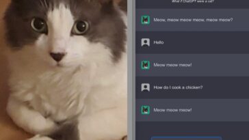 ChatGPT Hits 100 Million Users, Google Backs Claude Bot And CatGPT Goes Viral