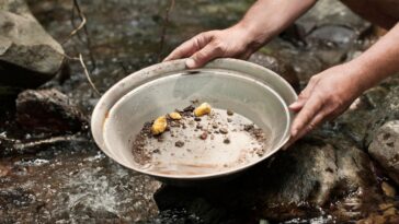 Council Post: Avoiding The ‘AI Gold Rush’: Finding The Right Role For AI In Your Workflow