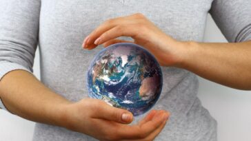 Council Post: Can Your Business Be An Ideal Net-Zero Organization?