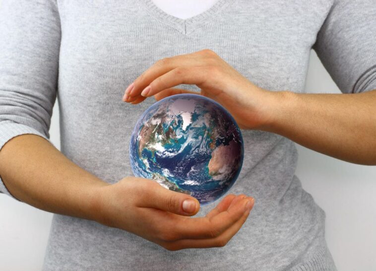 Council Post: Can Your Business Be An Ideal Net-Zero Organization?