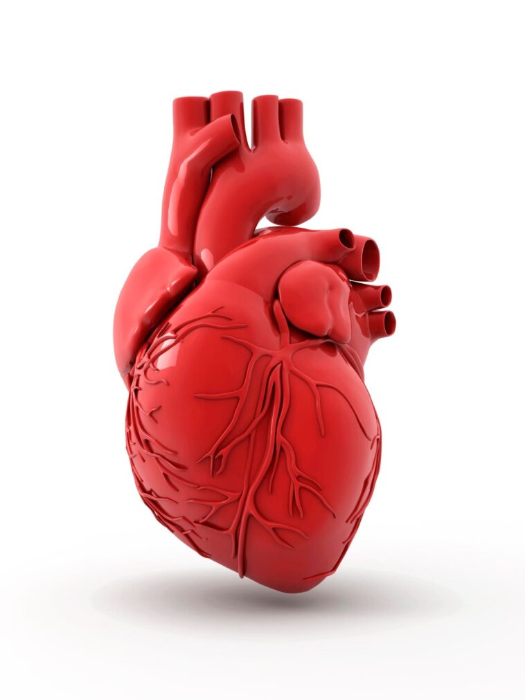 Hims & Hers’ New Path For Growth Comes From The Heart