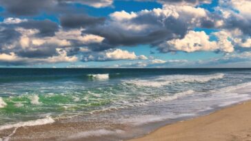 Council Post: The Myth Of Ocean Waste And Plastics