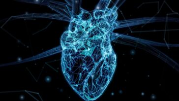 Council Post: Bio-Digital Twin: Getting The Heart Right