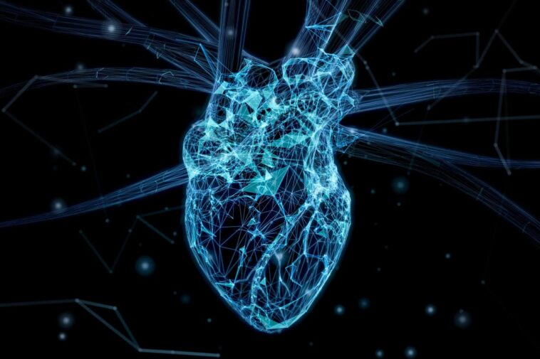 Council Post: Bio-Digital Twin: Getting The Heart Right