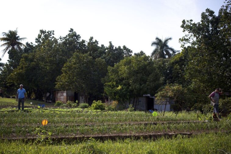 Can We Learn From Cuba’s Sustainable Revolution?