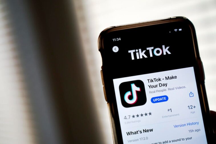 TikTok Takes Steps To Reassure Europe With New Data Center And Audits