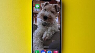 Apple iPhone 15, iPhone 15 Overheating Exclusive: Apple Comments