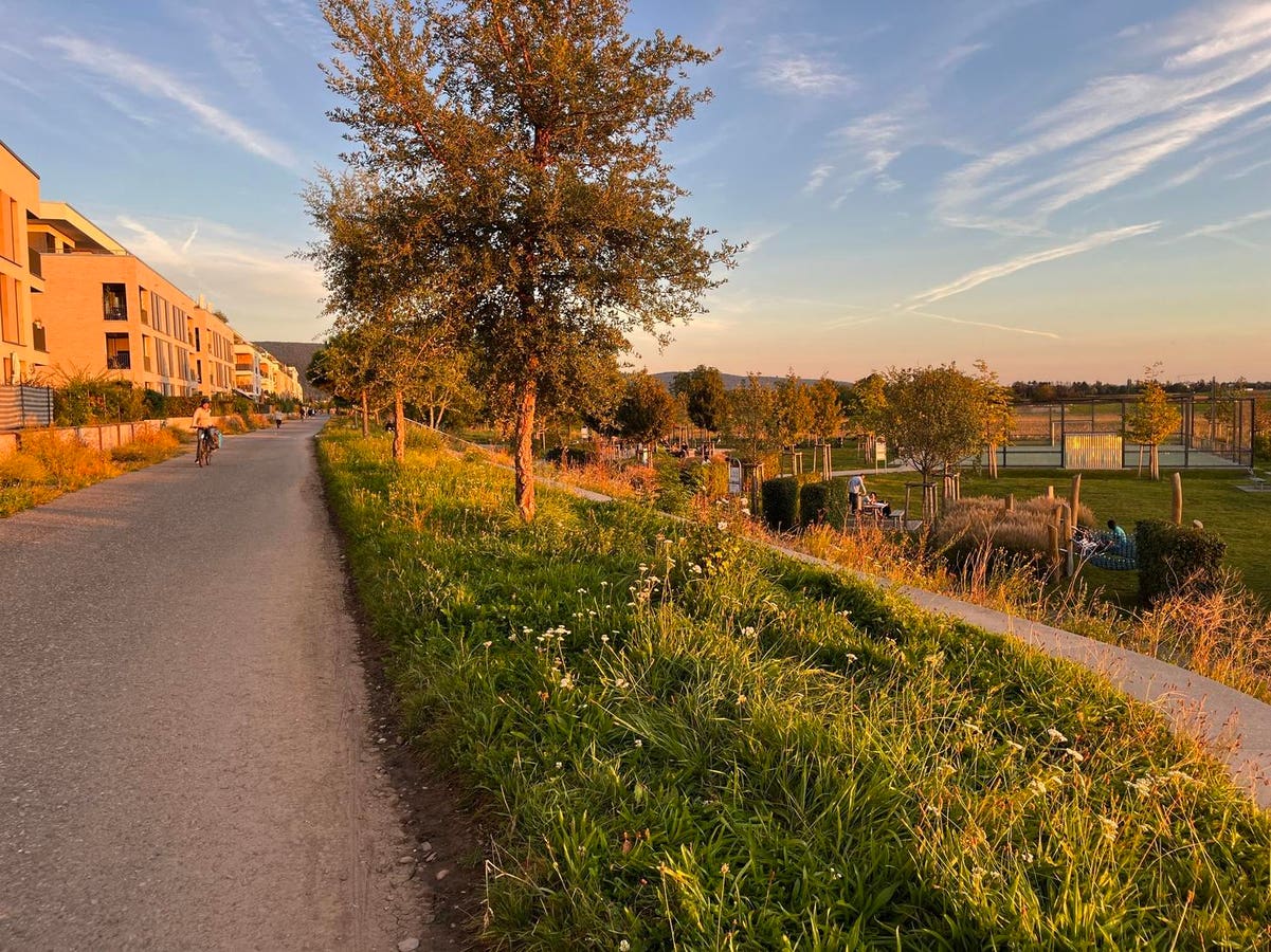 Passive Houses Grapple With Rising Temperatures