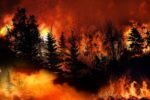 How Can AI Help Prevent WildFires Due To Climatic Change? How Can AI Help Prevent WildFires Due To Climatic Change?