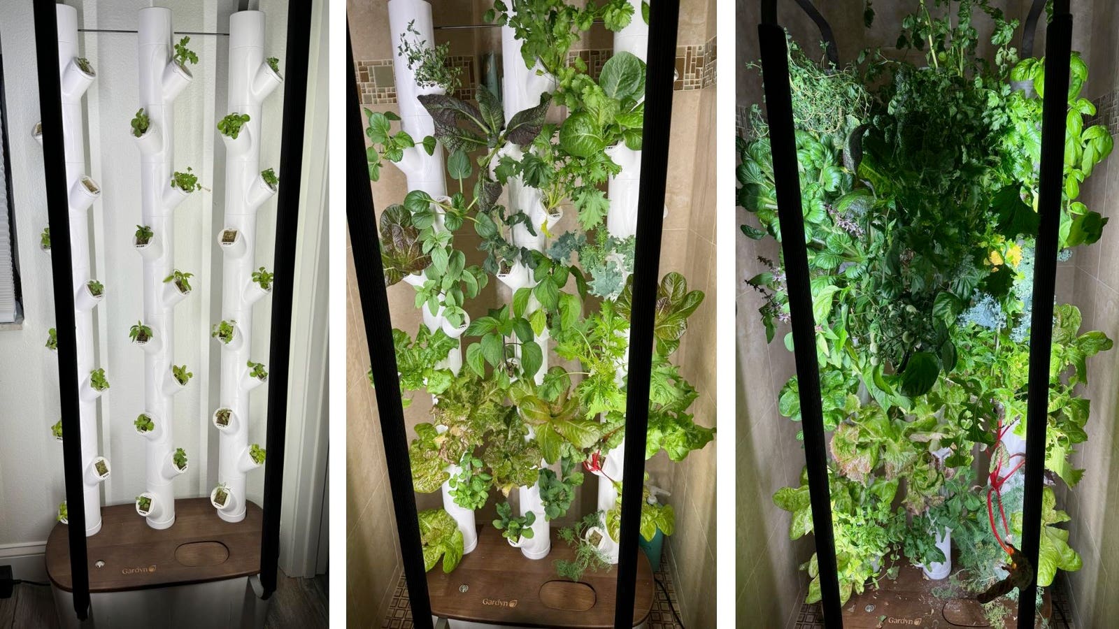 Indoor Gardens Let You Grow Fresh Herbs And Veggies All Winter Long