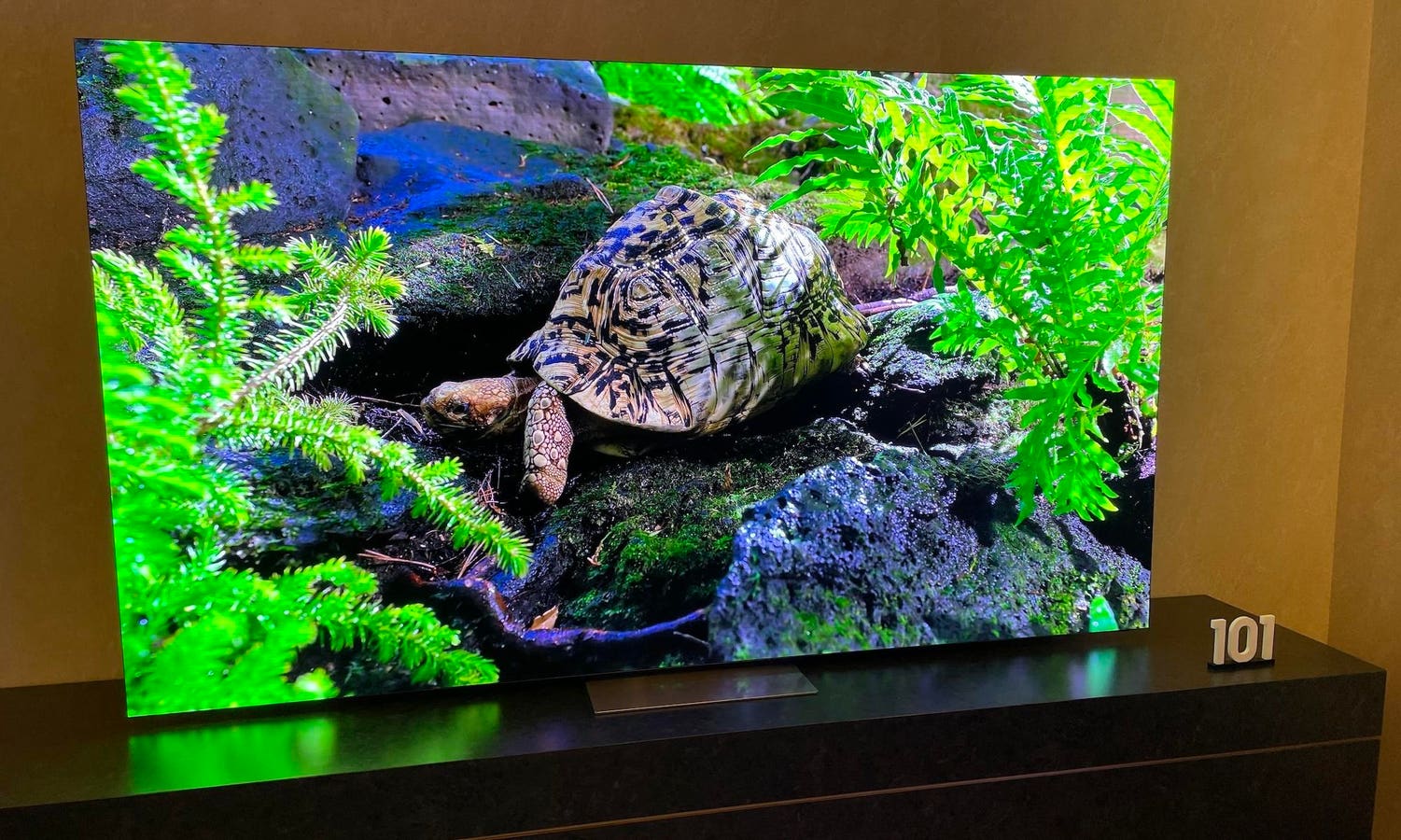 Samsung Puts Micro LED, 8K And More OLEDs Front And Center At CES 2024