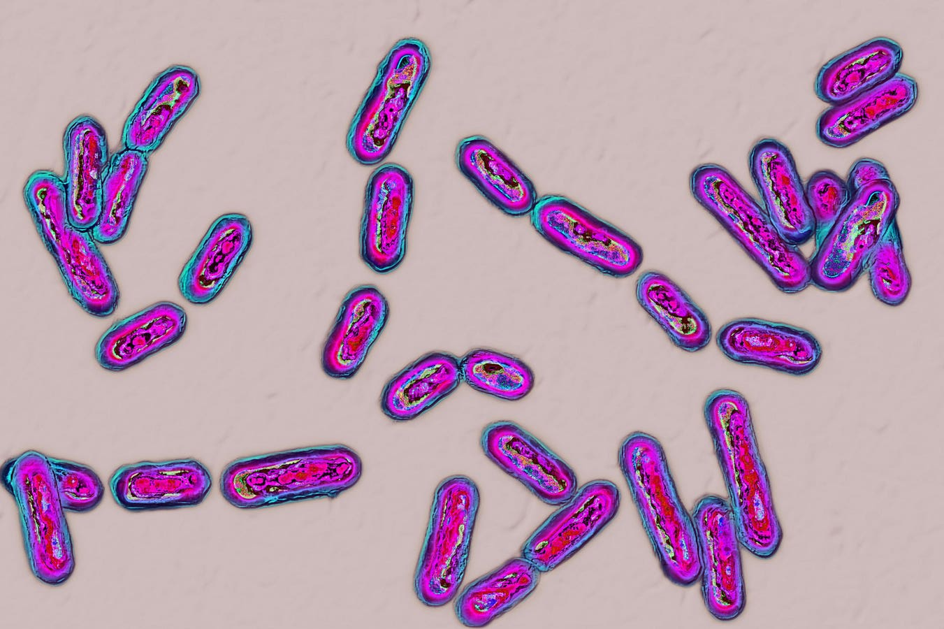 Austin’s Post-Op Infection Highlights Lag In CDC’s Overall Prevention Effort