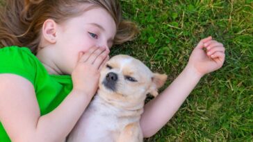 Dogs Understand Our Words More Than They Let On, Science Reveals
