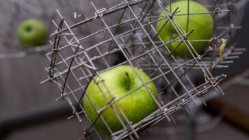 Apple In Contempt, Google Faces Breakup, xAI Raising $40 Billion, OpenAI Tweaks GPT-4o