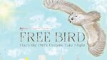 Free Bird: Flaco The Owl’s Dreams Take Flight By Christine Mott & Ofra Layla Isler — Review