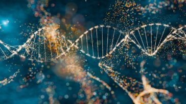 Chan Zuckerberg Initiative Introduces New GREmLN Model For Genetics
