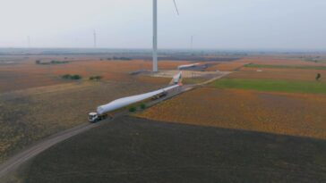 How Sustainability Principles Can Help Build Profitable Businesses