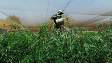 EU Return To International Carbon Credits Could Boost Climate Finance EU Return To International Carbon Credits Could Boost Climate Finance