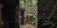 Bamboo AI Bunker: Underground Viral Build #shorts