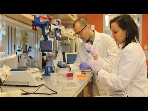 Could DNA Be the Future of Digital Storage? - Video