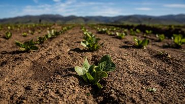 4 Advanced Innovations Moving Society Forward In 2021