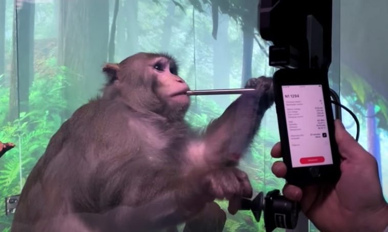 Elon Musk’s Neuralink Brain Chip Monkey Experiment Leaves Questions (Video - 3.30 min) Elon Musk’s Neuralink Brain Chip Monkey Experiment Leaves Questions