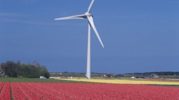 Six Considerations As You Decarbonise Your Business