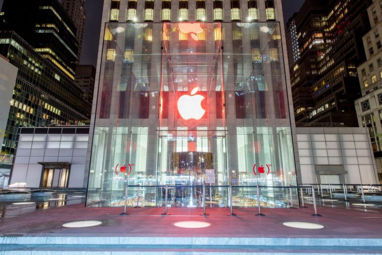 U.S.-Born Computer Professionals Earn Far More Than Other U.S. Workers