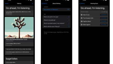 Journaling app Palmsy offers fake likes from real friends