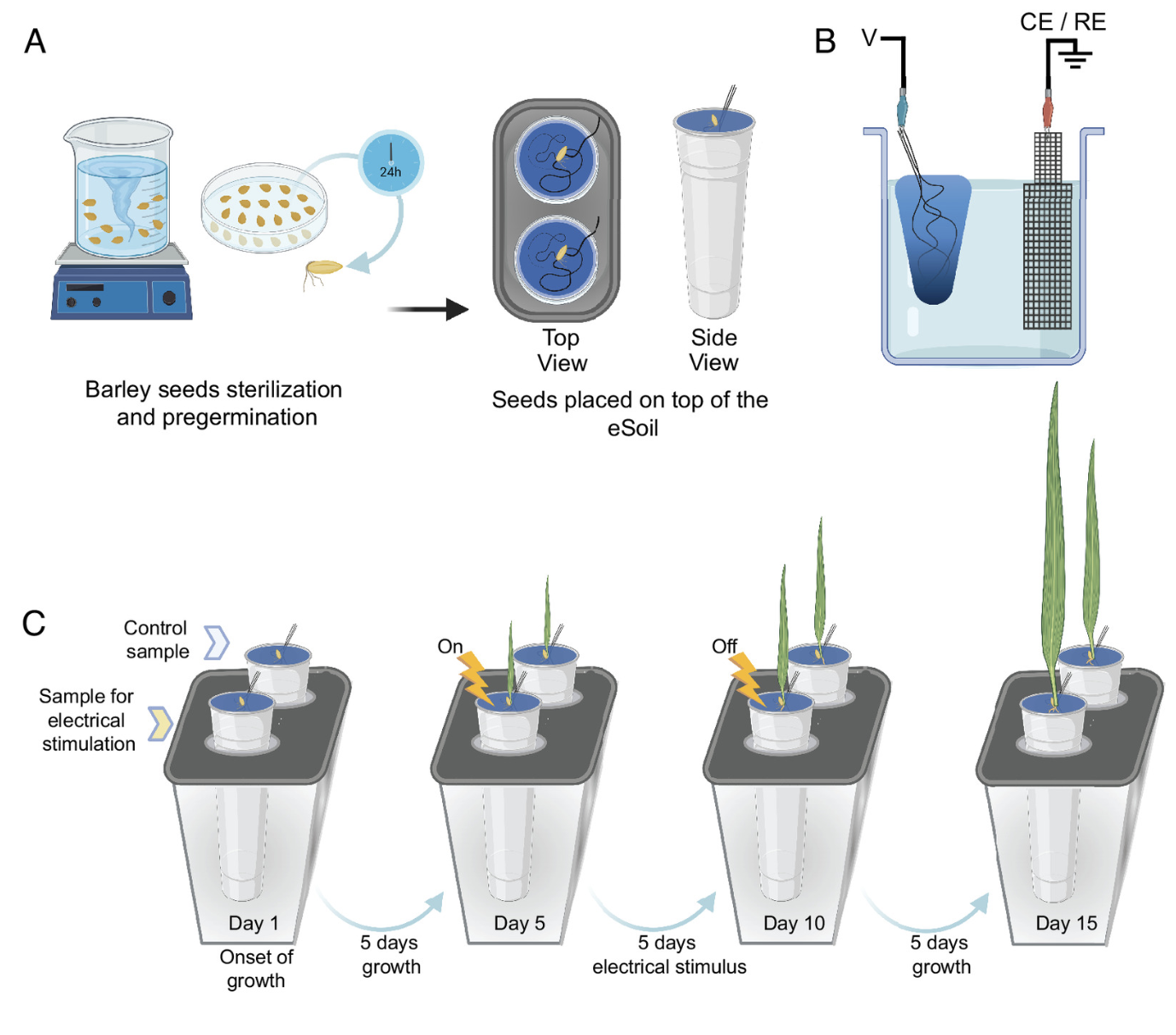 Swedish Researchers develop ‘electronic soil’ that speeds up plant growth