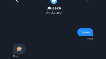 Bluesky finally has DMs, with encrypted messaging coming ‘down the line’