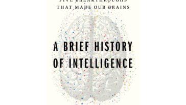 What the evolution of our own brains can tell us about the future of AI