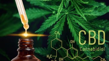 Best CBD Oil For Pain: Top 7 Brands of 2022