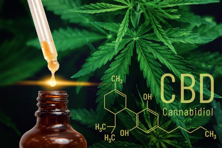 Best CBD Oil For Pain: Top 7 Brands of 2022