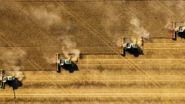 Cutting Air Pollution Could Help Us Feed The World More Easily. Here's How