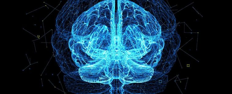 Neuroscientists Find Two Types of Brain Cells That Help Us Make Memories Neuroscientists Find Two Types of Brain Cells That Help Us Make Memories