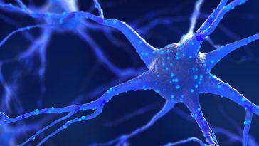 Scientists Identify Brain Switch That Controls a Vital Survival Instinct in Organisms