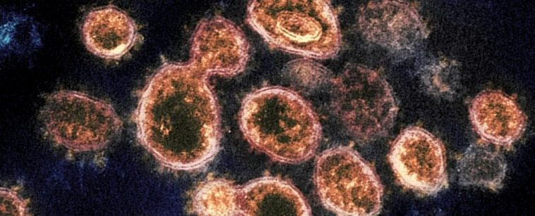 What We Know About The New Omicron Subvariant BA.2 Spreading Around The World