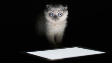 Ginormous New 'Index' Shares Data From 100 Million Science Papers For Free