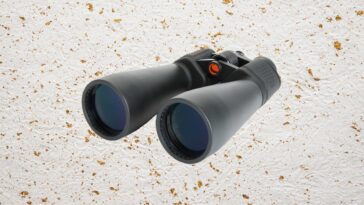 The Best Binoculars to Zoom In on Real Life