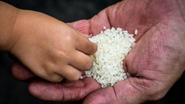 Researchers Have a Controversial New Hypothesis For How Civilization First Started